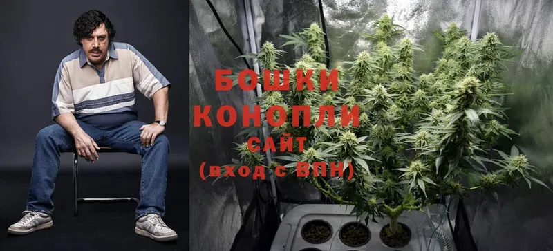 Канабис OG Kush  купить   мориарти как зайти  Вытегра 